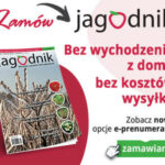Baner_agodnik_356x300