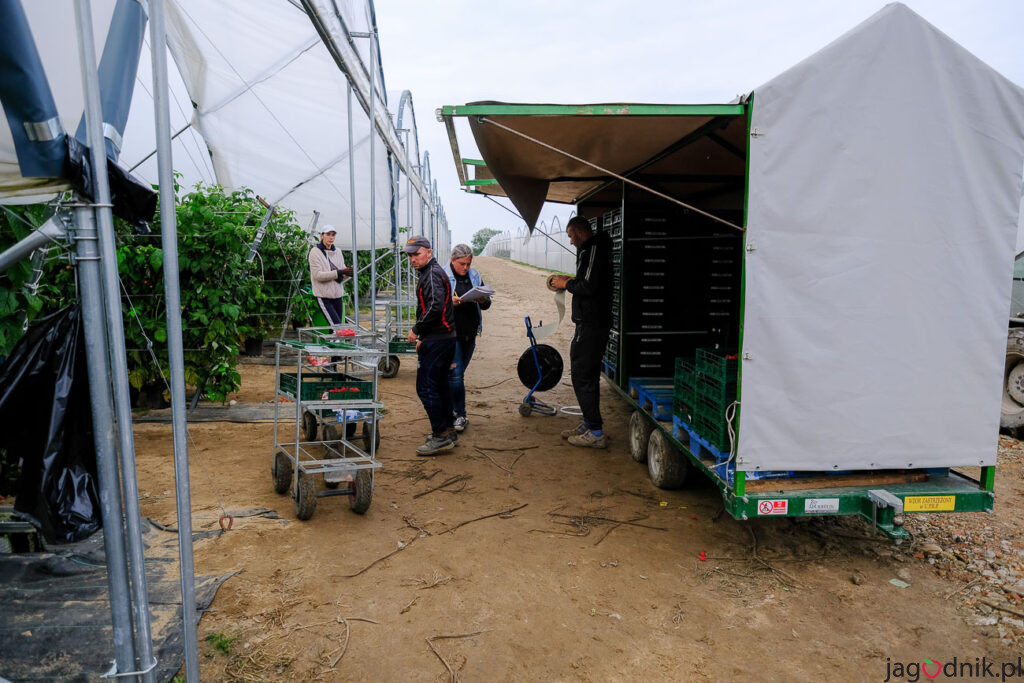 zbory malin z tuneli