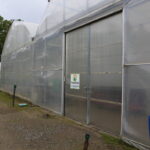IMG_6491agronom_2020
