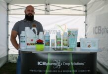 Produkcja malin bez pozostałości. Czy jest możliwa? Krzysztof Legocki ICB Pharma