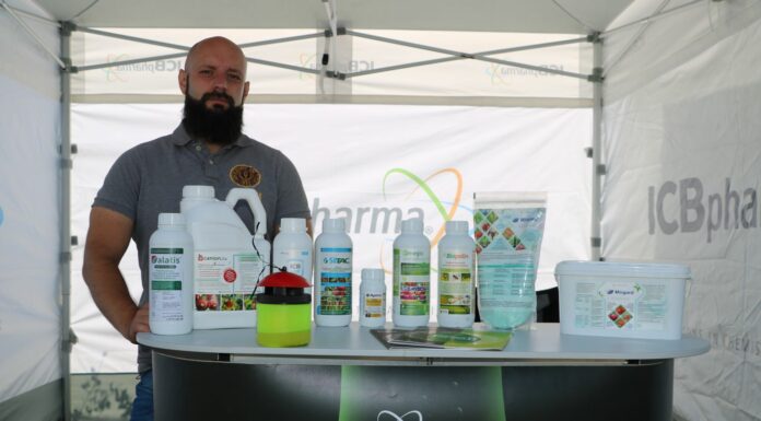 Produkcja malin bez pozostałości. Czy jest możliwa? Krzysztof Legocki ICB Pharma