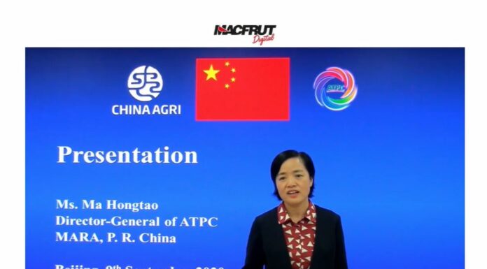 Macfrut Digital: Włosi intensyfikują eksport owoców i warzyw do Chin