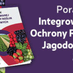 PORJ-2020-baner-356×200-px