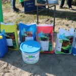 Plantacja nawozona jest w oparciu o produkty TAP