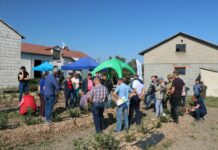 Jesienny tour po borówkowych plantacjach