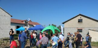 Jesienny tour po borówkowych plantacjach