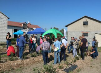 Jesienny tour po borówkowych plantacjach