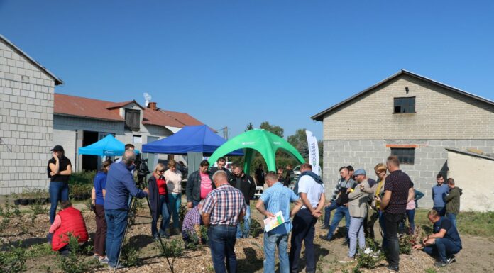 Jesienny tour po borówkowych plantacjach