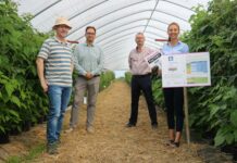 Precyzyjna fertygacja malin Zespol Yara Poland