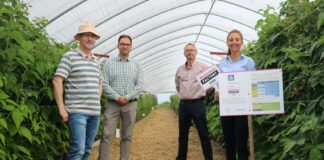 Precyzyjna fertygacja malin Zespol Yara Poland