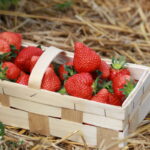 Flair (2)flair_calfert