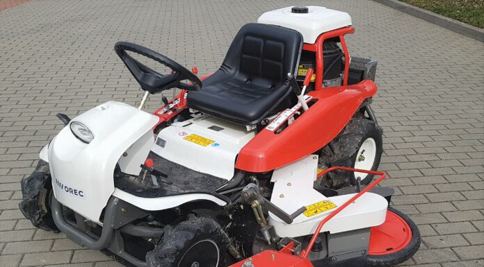 Sprawne mechaniczne odchwaszczanie młodej plantacji borówek