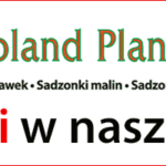 poland_plants_750x200_09-2020NOWA