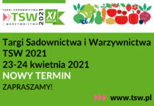 TSW 2021 – UWAGA – nowy termin!