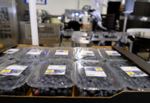 BREXIT nadciąga. Co warto wiedzieć