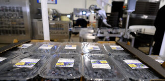 BREXIT nadciąga. Co warto wiedzieć