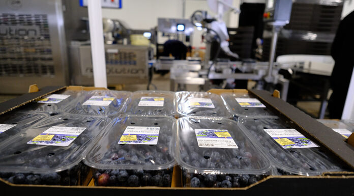 BREXIT nadciąga. Co warto wiedzieć