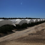 IMG_8980huelva_20