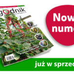 Jagodnik_nowy_numer_8_2020
