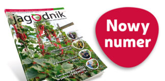 Jagodnik 8/2020 już w sprzedaży