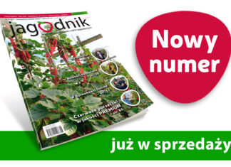 Jagodnik 8/2020 już w sprzedaży