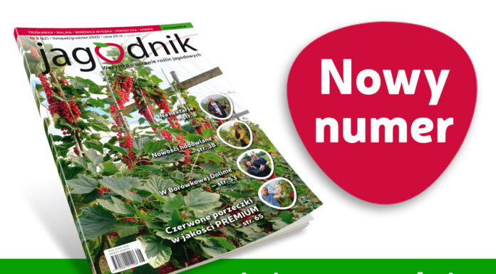 Jagodnik 8/2020 już w sprzedaży