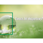 Obraz3