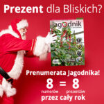 popup_jagodnik600x600