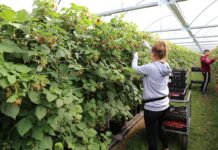 Szukam pracownika z Ukrainy, czyli TOP5 kroków do zatrudnienia kadry ze Wschodu