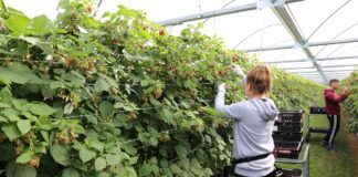 Szukam pracownika z Ukrainy, czyli TOP5 kroków do zatrudnienia kadry ze Wschodu