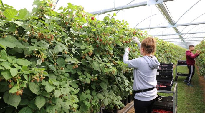 Szukam pracownika z Ukrainy, czyli TOP5 kroków do zatrudnienia kadry ze Wschodu