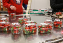 Jagodowe już przez cały rok