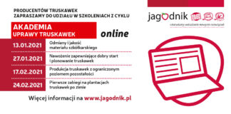 Akademia Uprawy Truskawek on-line: Pierwsze zabiegi na plantacjach truskawek po zimie