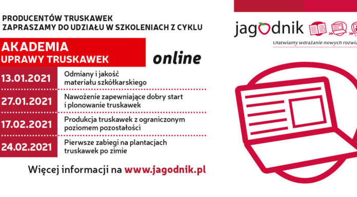 Akademia Uprawy Truskawek on-line: Pierwsze zabiegi na plantacjach truskawek po zimie