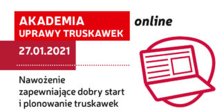 Akademia Uprawy Truskawek on-line: Nawożenie zapewniające dobry start i plonowanie truskawek