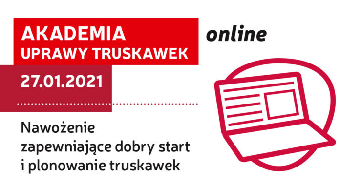 Akademia Uprawy Truskawek on-line: Nawożenie zapewniające dobry start i plonowanie truskawek