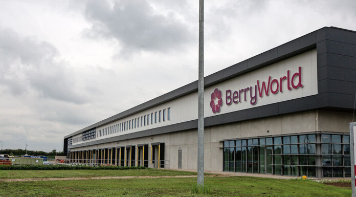 Budynki gospodarcze i ich znaczenie w produkcji owoców – przykład z Holandii