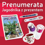 JAG FB post prenumerata 1080×1080 v2