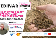 Webinarium o przygotowaniu gleby do uprawy malin i innych jagodowych – już w czwartek!