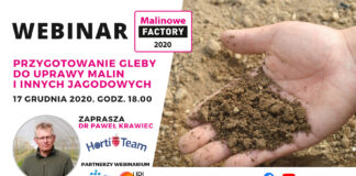 Webinarium o przygotowaniu gleby do uprawy malin i innych jagodowych – już w czwartek!