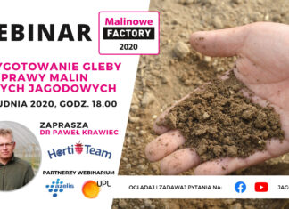 Webinarium o przygotowaniu gleby do uprawy malin i innych jagodowych – już w czwartek!
