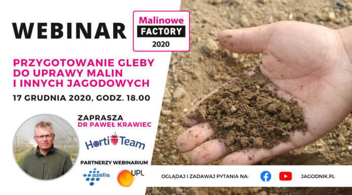 Webinarium o przygotowaniu gleby do uprawy malin i innych jagodowych – już w czwartek!