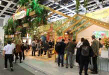 Wertykalna uprawa truskawek driscolls