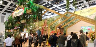 Wertykalna uprawa truskawek driscolls