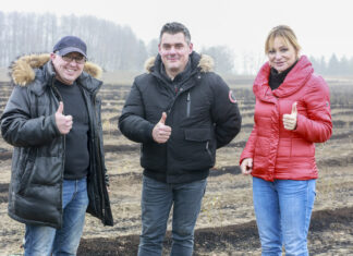 Borówka w substracie CARBOMAT – Cz. III – Korzyści