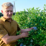2.DSCF5657jagodnik_1_2021