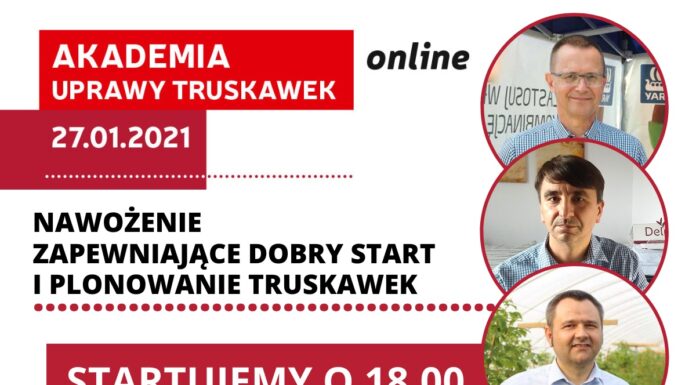 Akademia Uprawy Truskawek online (Cz. 2)