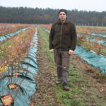 Fot. 1. Krzystof Botul na plantacji na której testuje opracowywane przez siebie nowe odmiany borówkijagodnik_1_2021