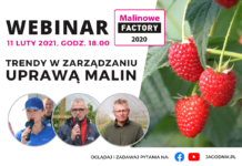 Trendy w zarządzaniu uprawą malin – webinarium. To już dzisiaj!