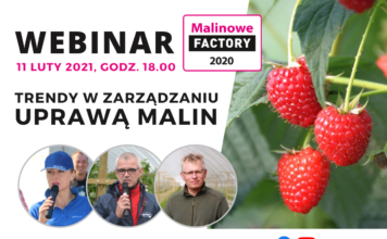 Trendy w zarządzaniu uprawą malin – webinarium. To już dzisiaj!